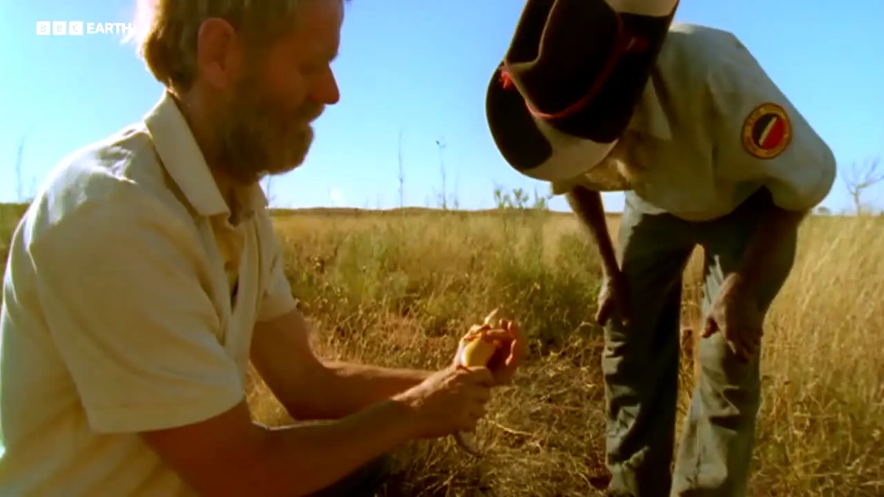 BBC Earth ao vivo