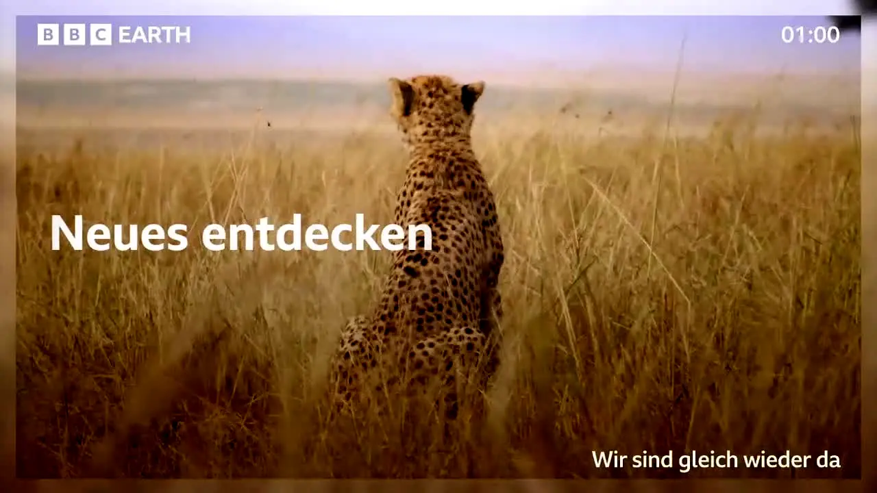 BBC Earth en vivo