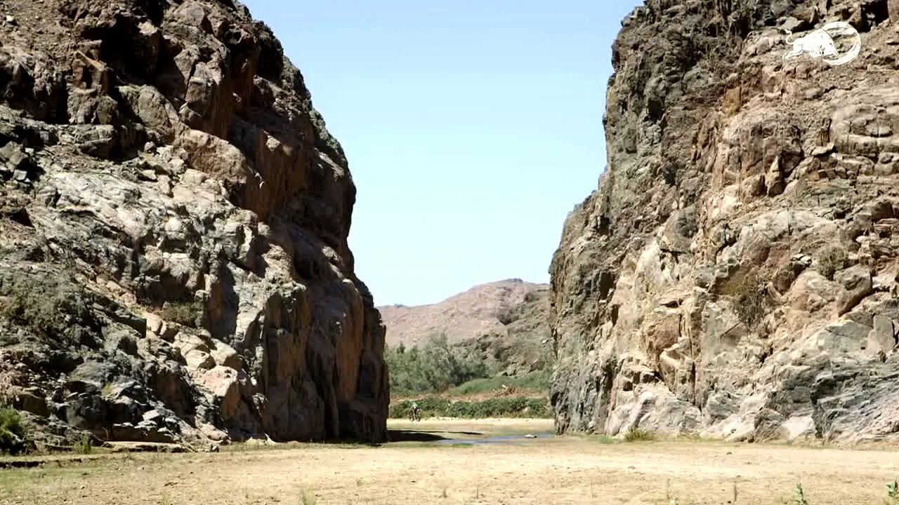 Red Bull TV live