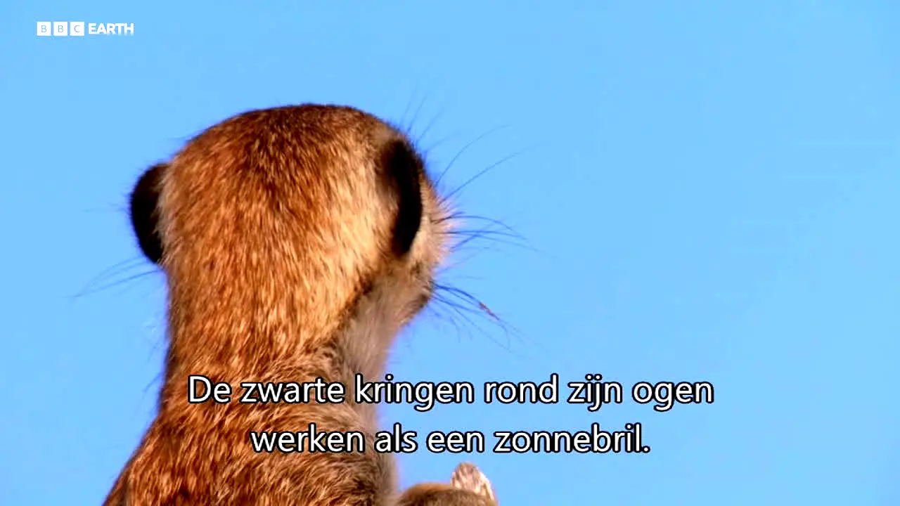 BBC Earth live