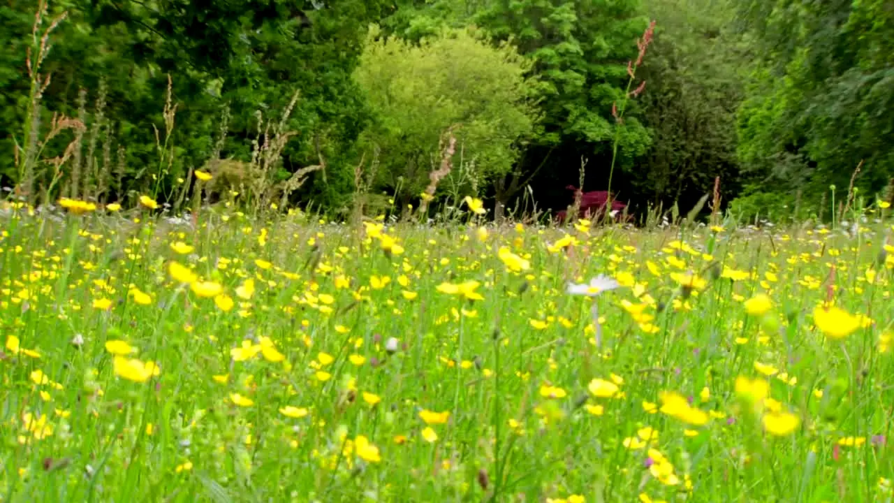 Gardeners' World live