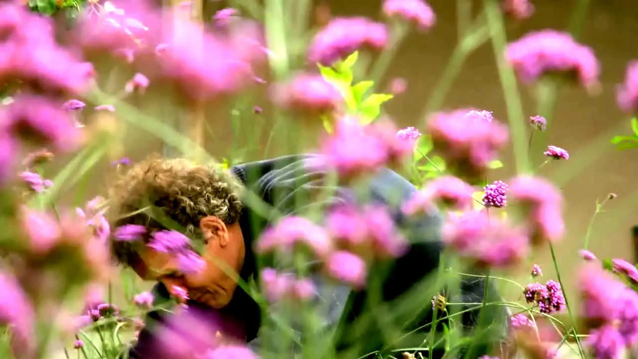 Gardeners' World na żywo