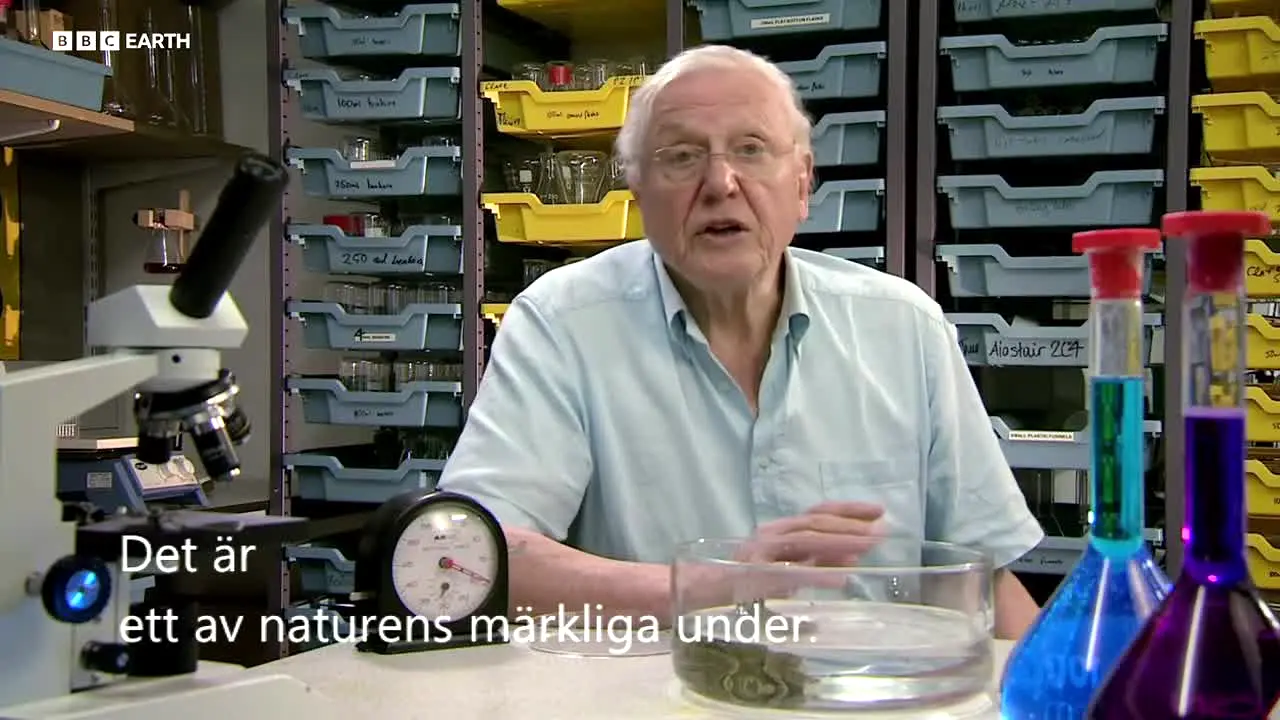 BBC Earth — прямой эфир