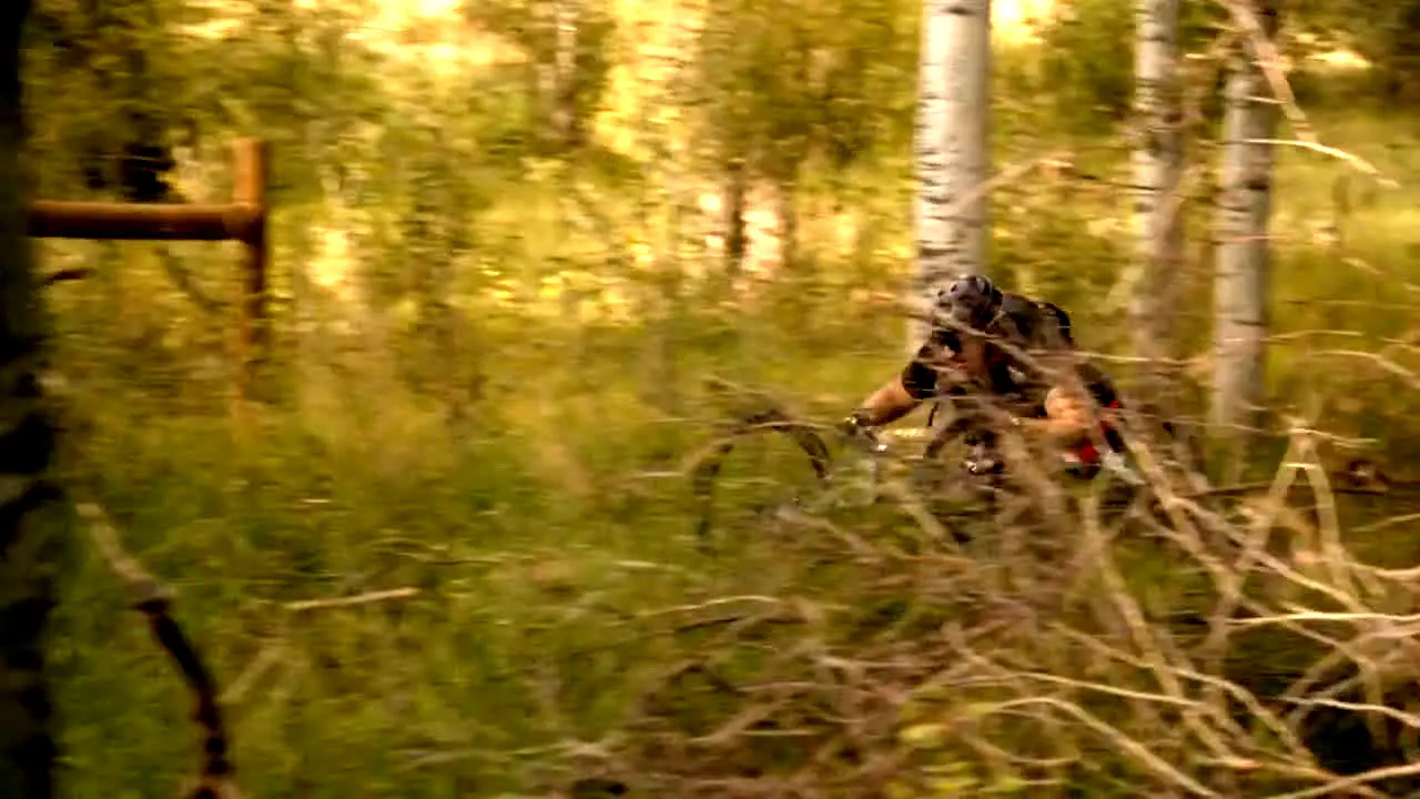Free Riding — прямой эфир