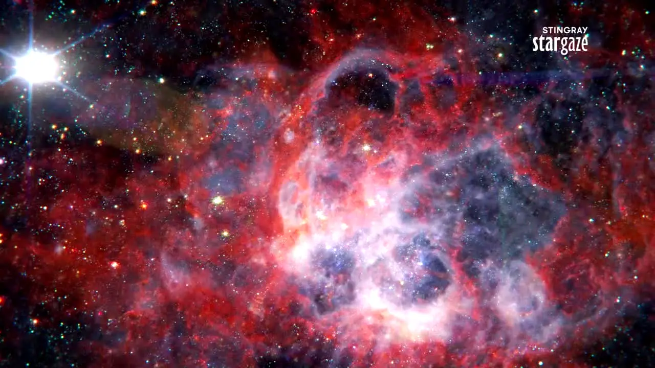 Stingray Stargaze live