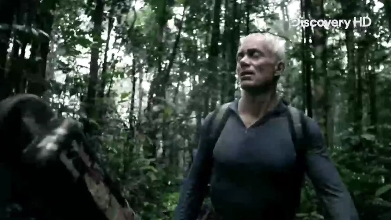 Discovery Channel live