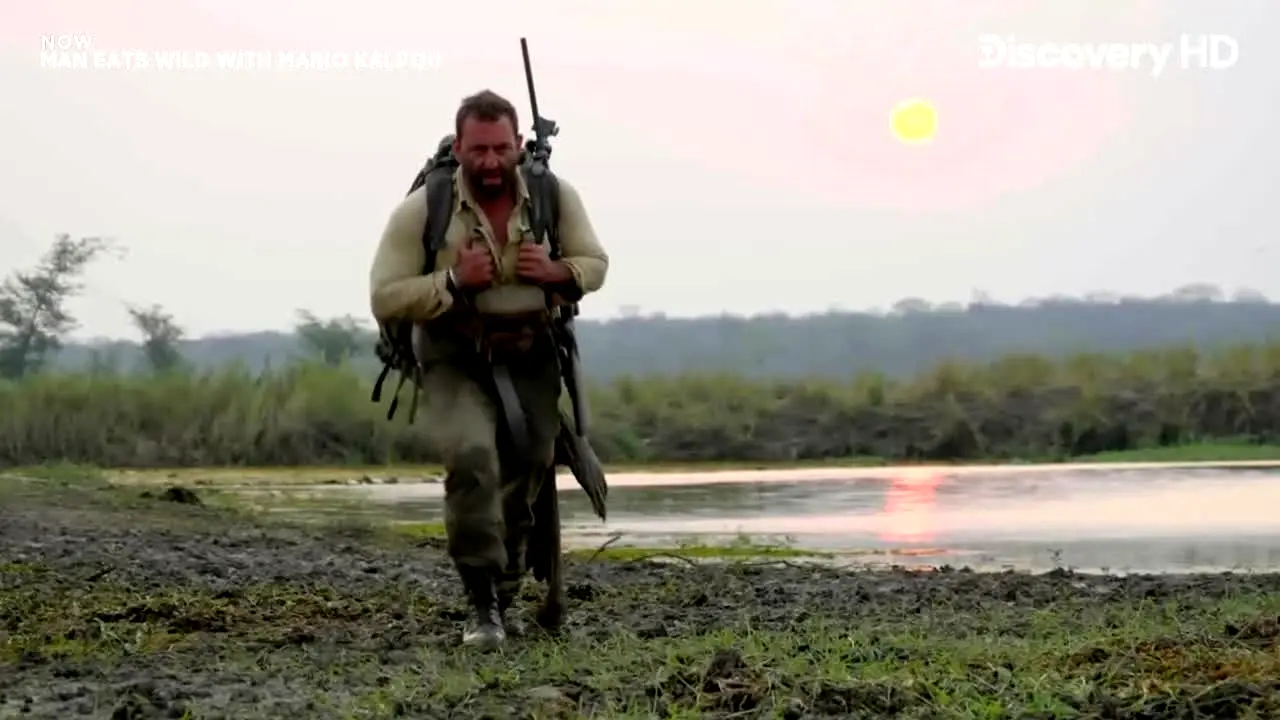 Discovery Channel en vivo
