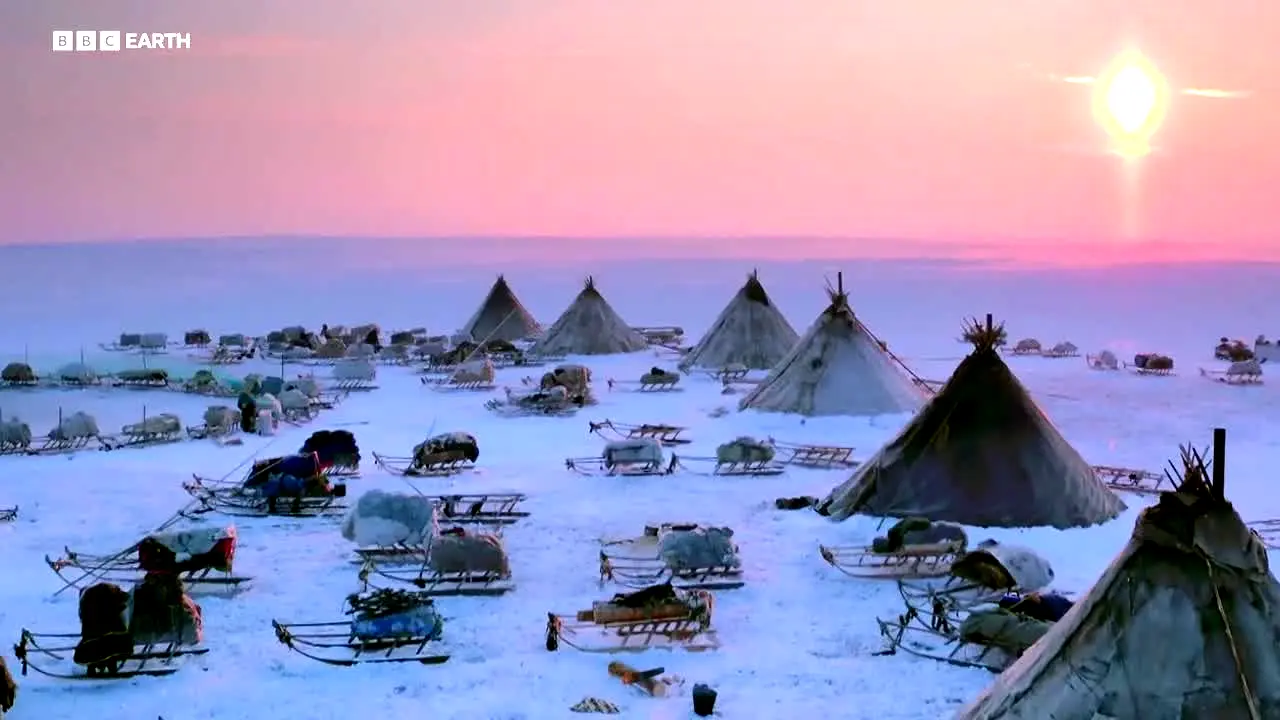 BBC Earth live