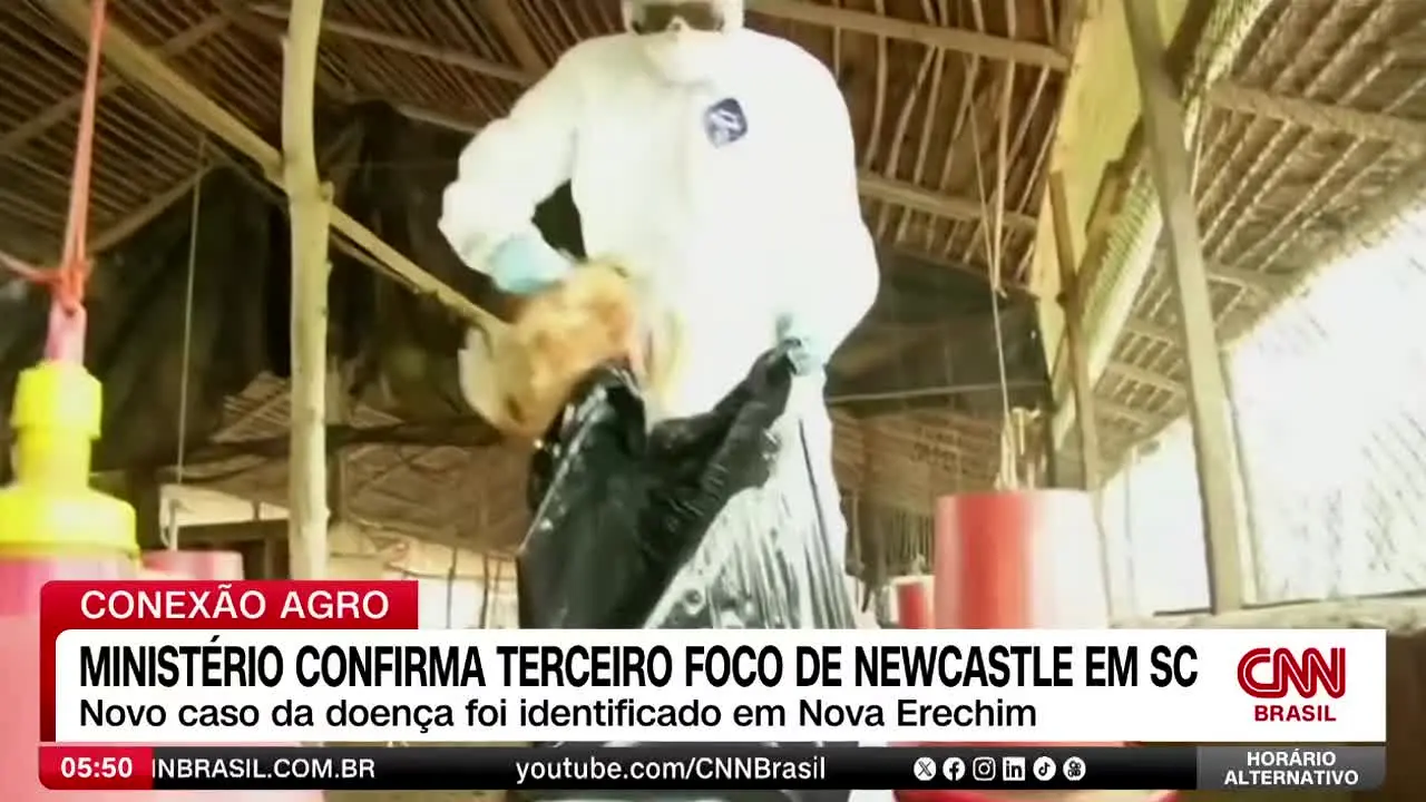 CNN Brasil ao vivo