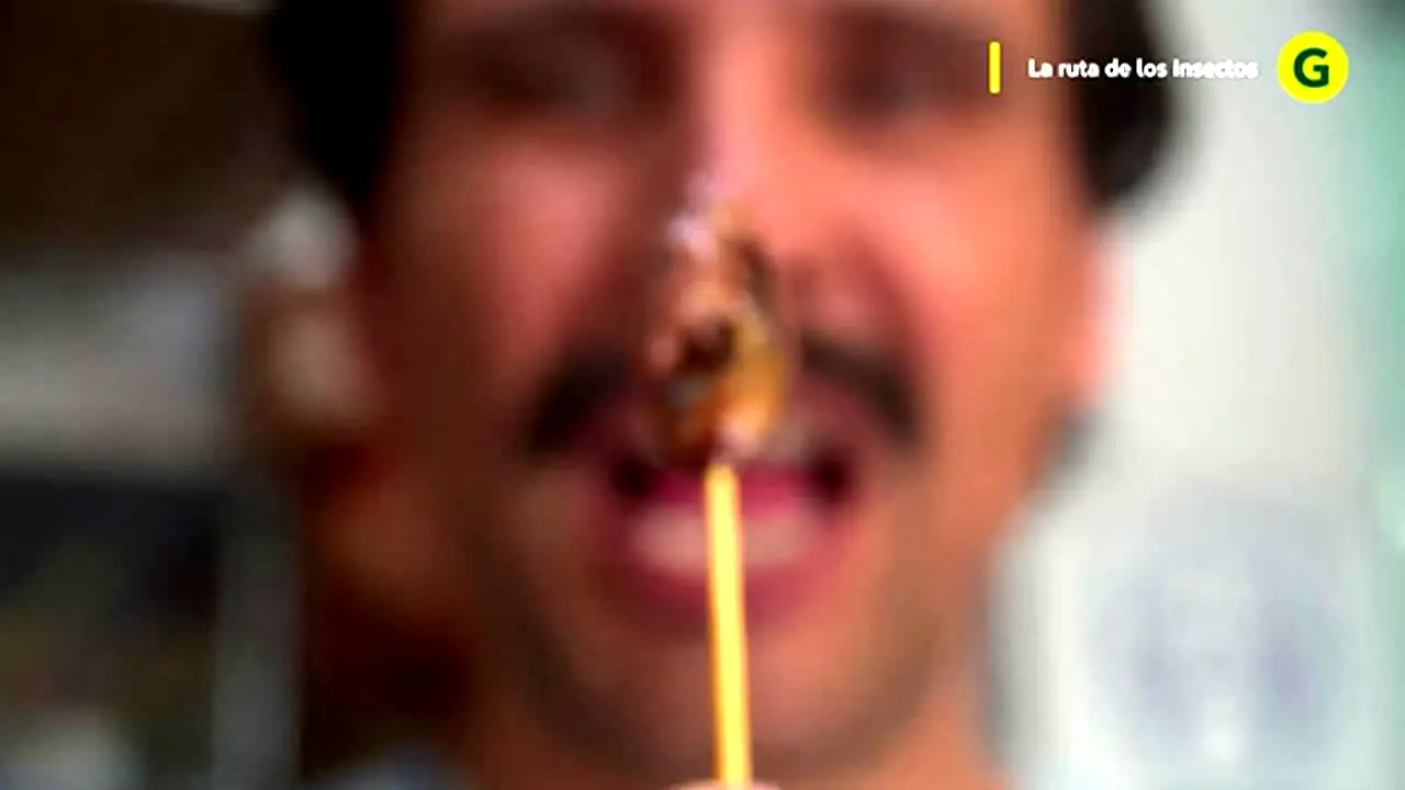 El Gourmet live
