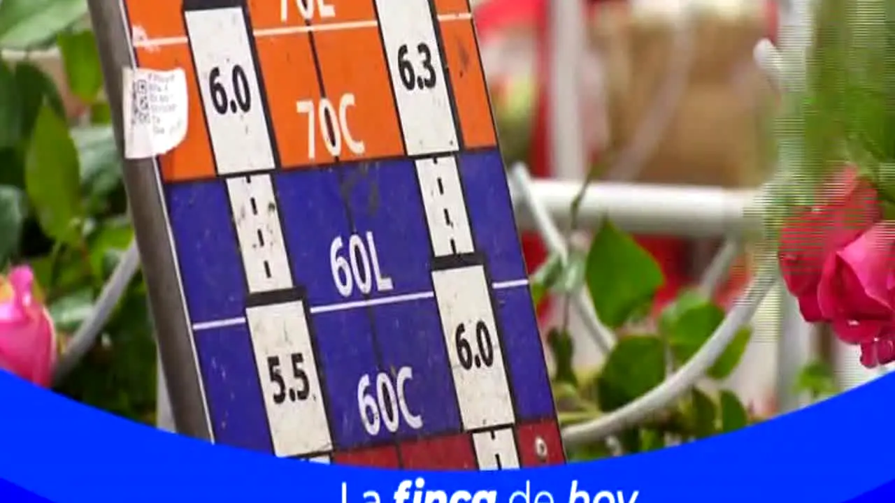 Caracol Internacional ao vivo
