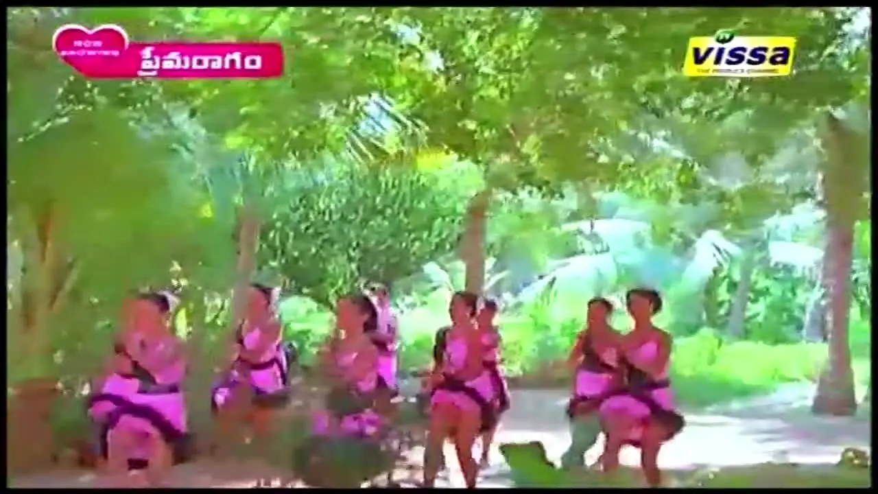 Vissa TV live
