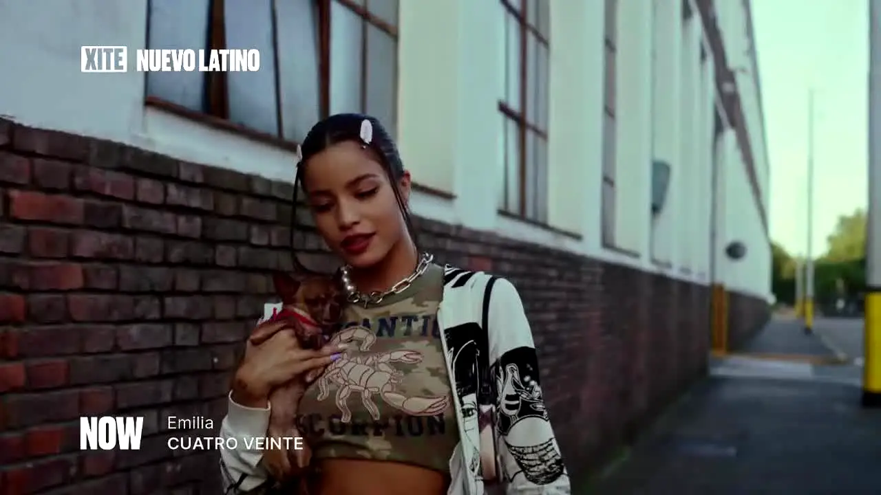 XITE Nuevo Latino live