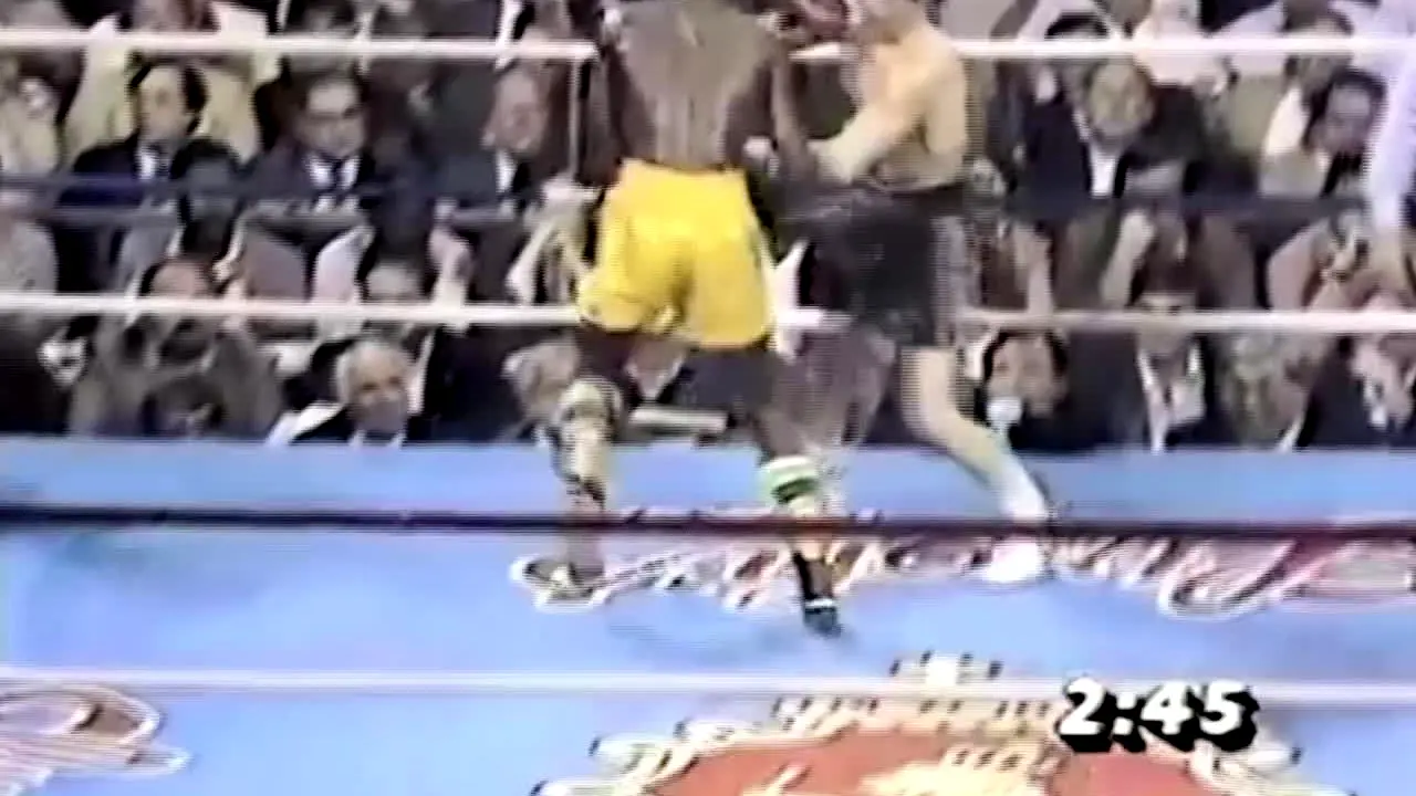 TVS Boxing live