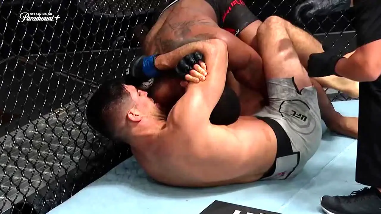 UFC en vivo