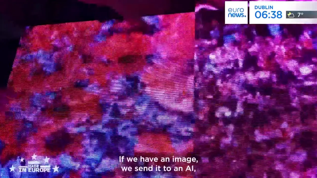euronews english live