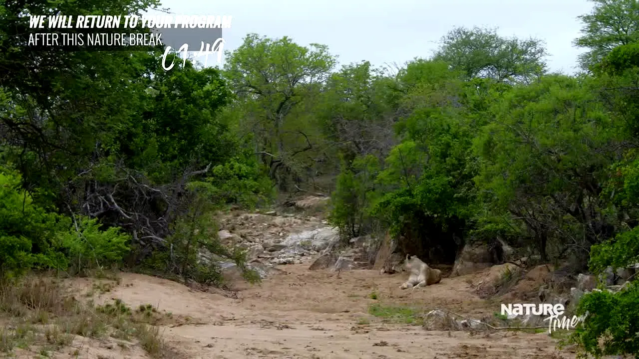 NatureTime live
