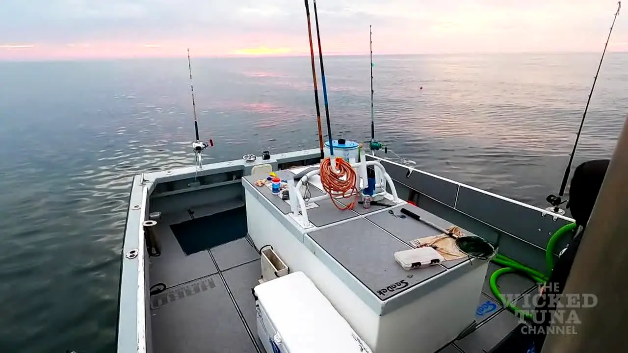Wicked Tuna live