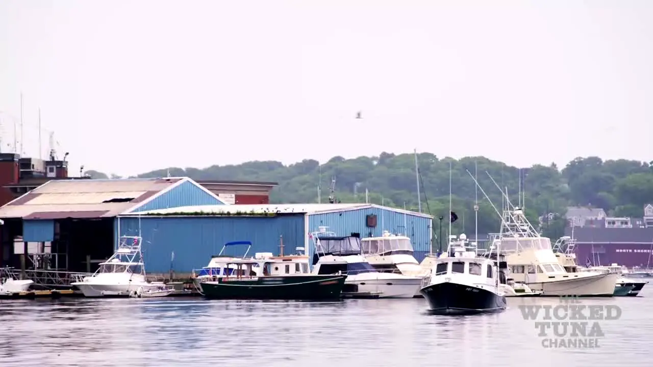Wicked Tuna live