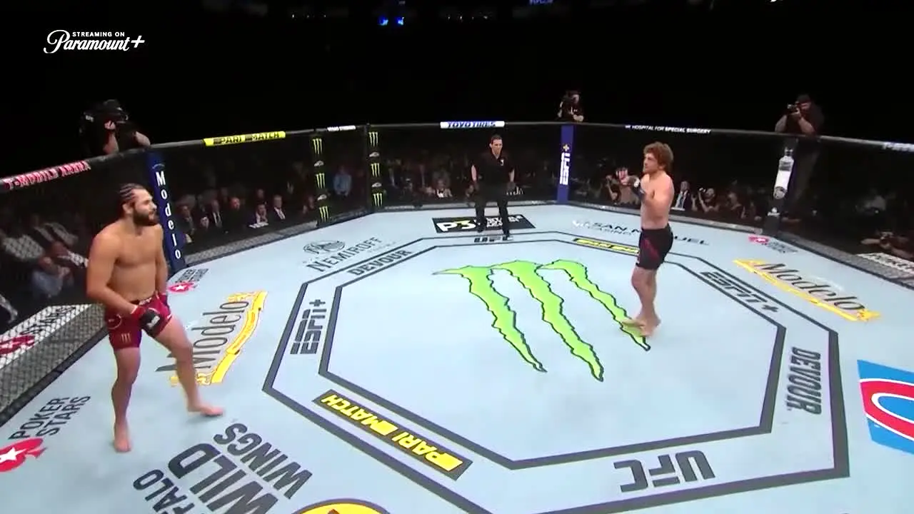UFC live