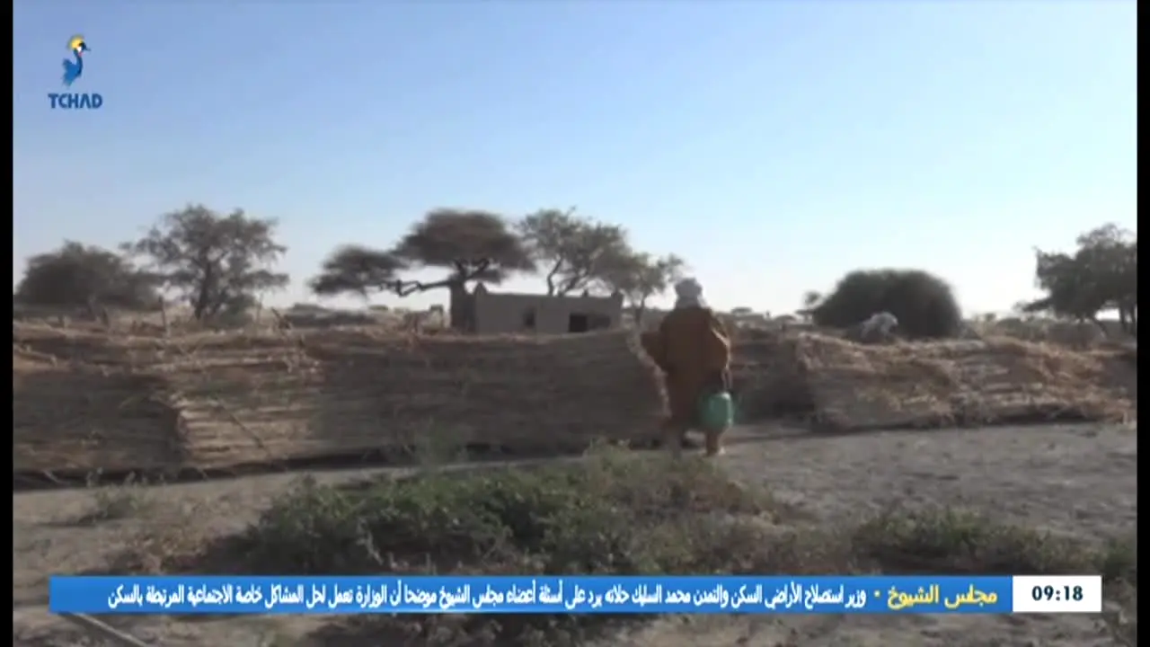 Télé Tchad — прямой эфир
