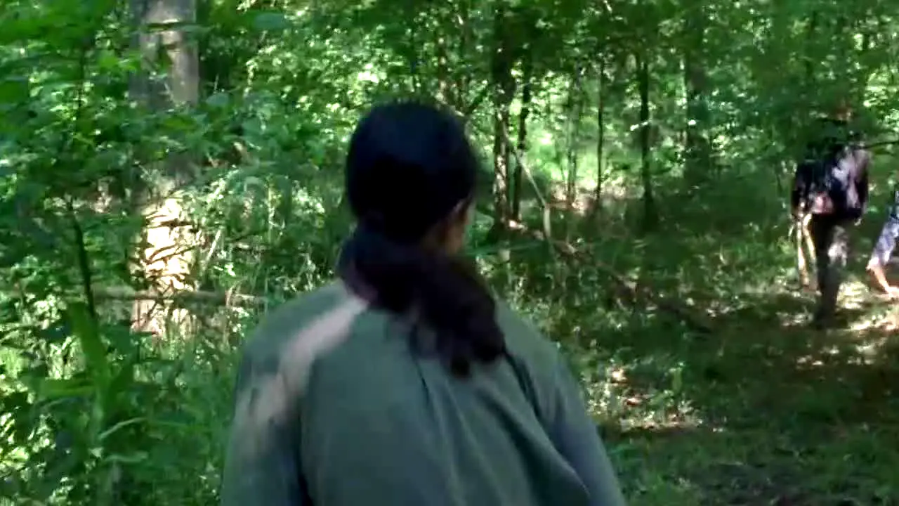 The Walking Dead Universe live