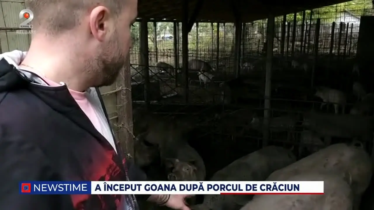Kanal D2 en direct