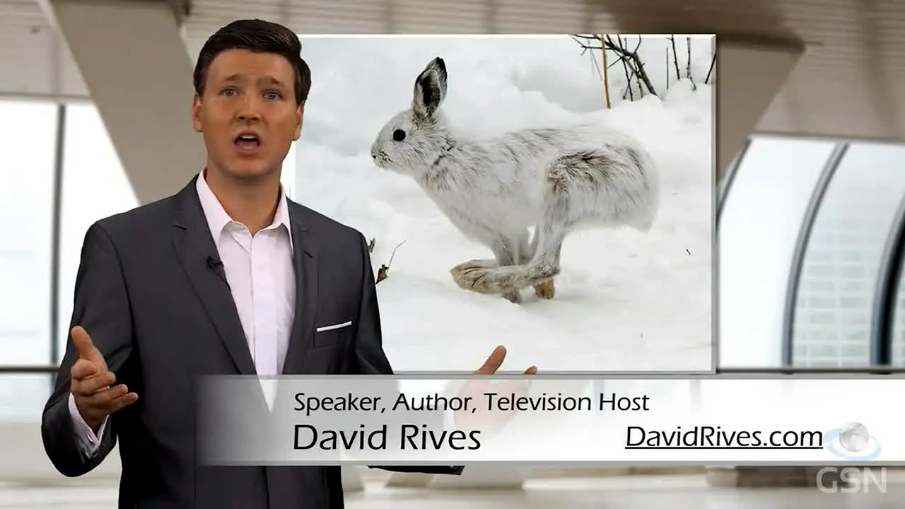 Genesis Science Network — прямой эфир