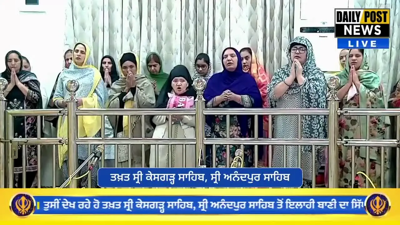 Daily Post TV live