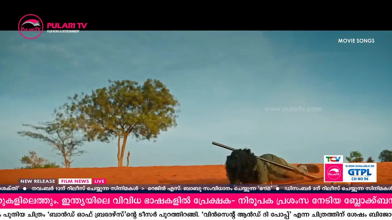 Pulari TV live