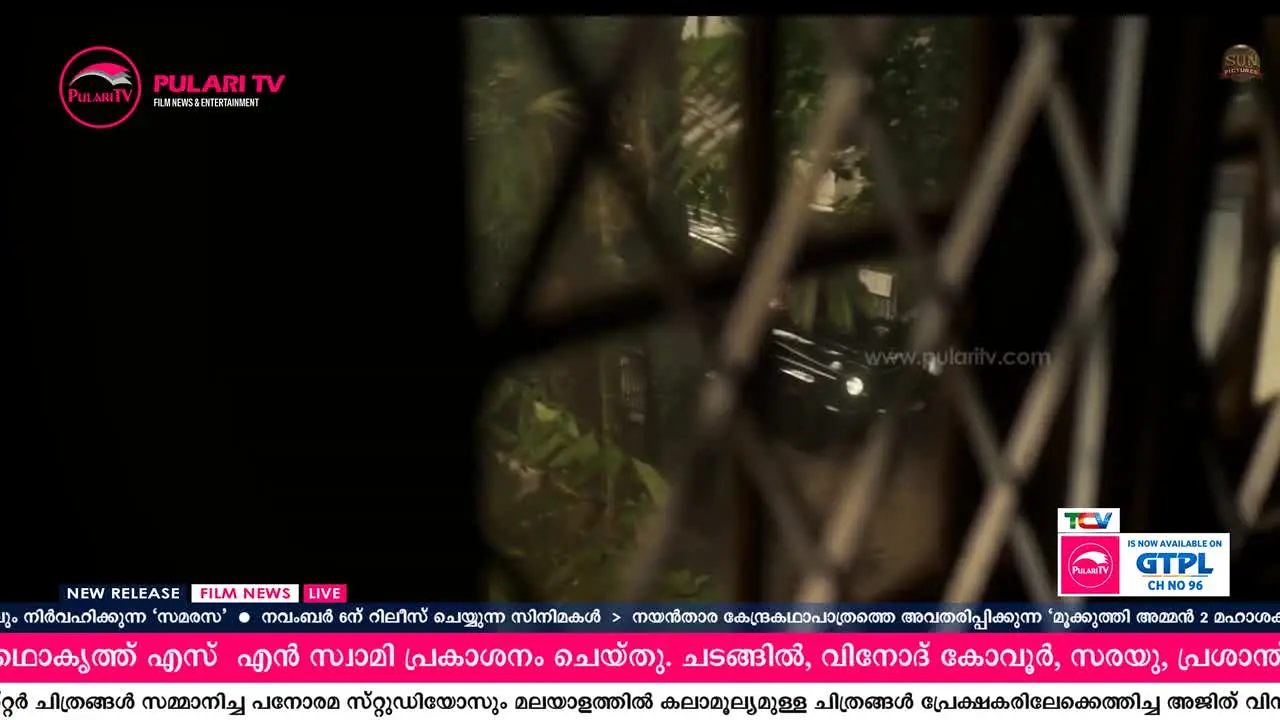 Pulari TV live