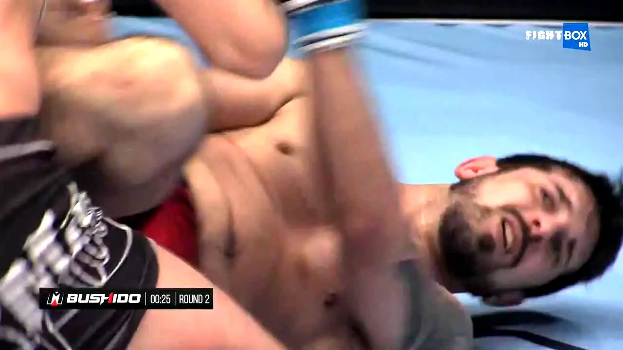 FightBox live