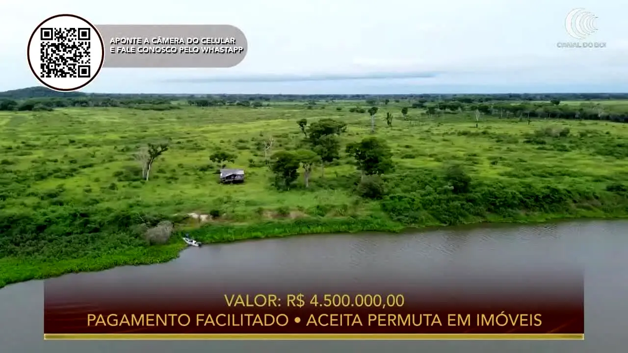Canal do Boi live