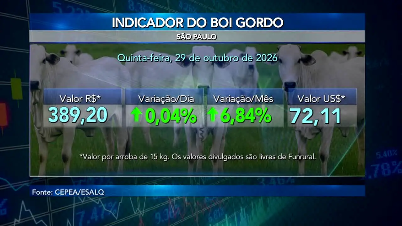 Canal do Boi live