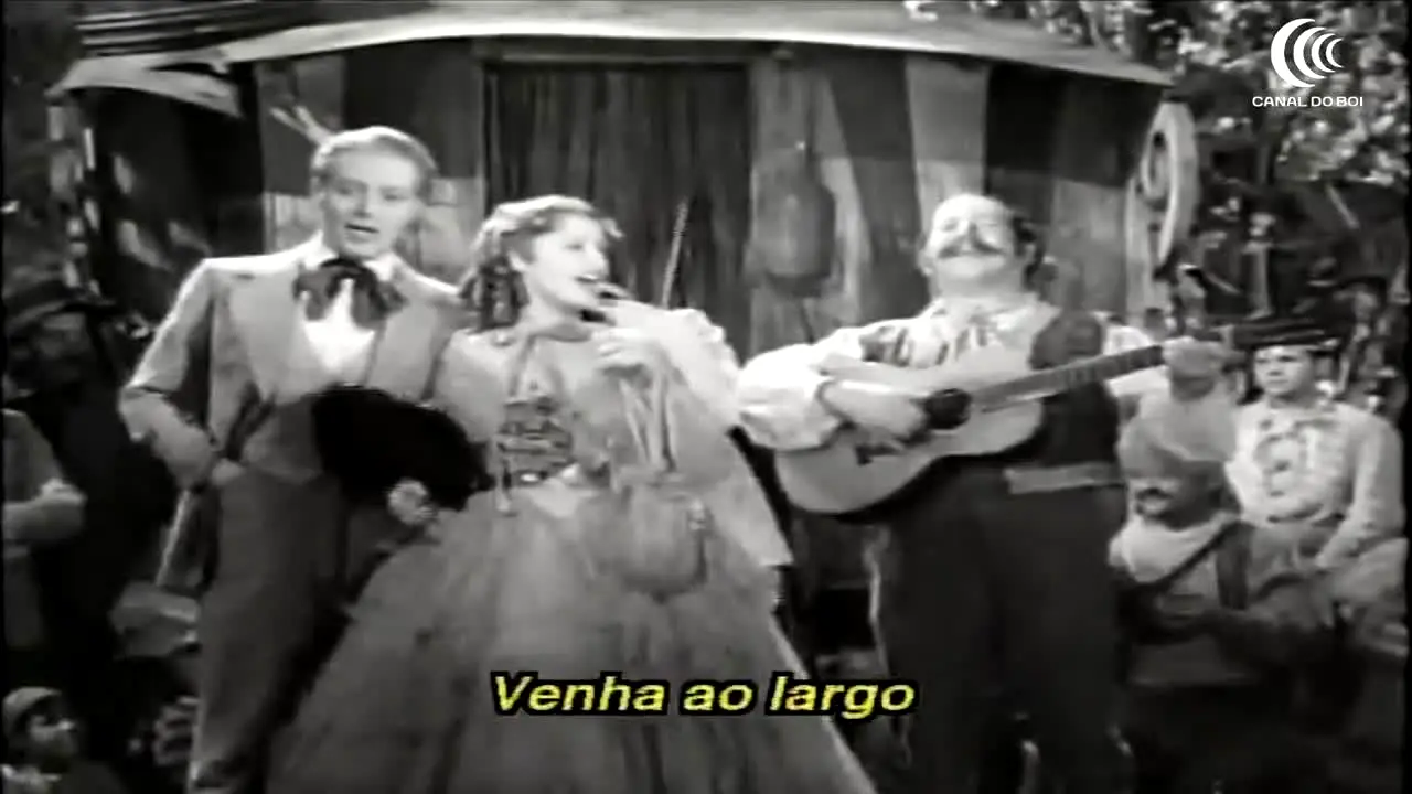 Canal do Boi live