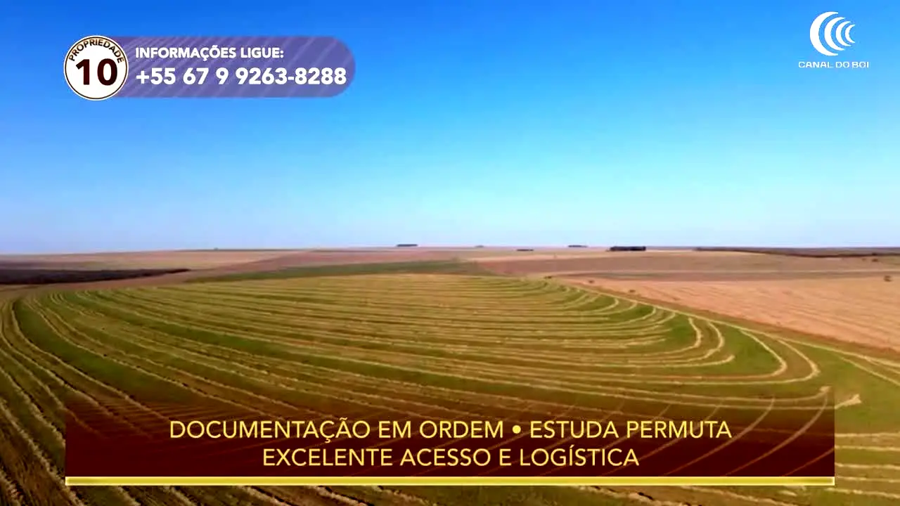Canal do Boi live