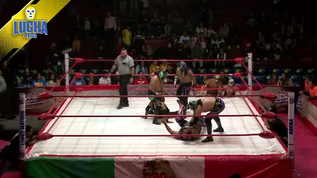 Lucha Plus ao vivo