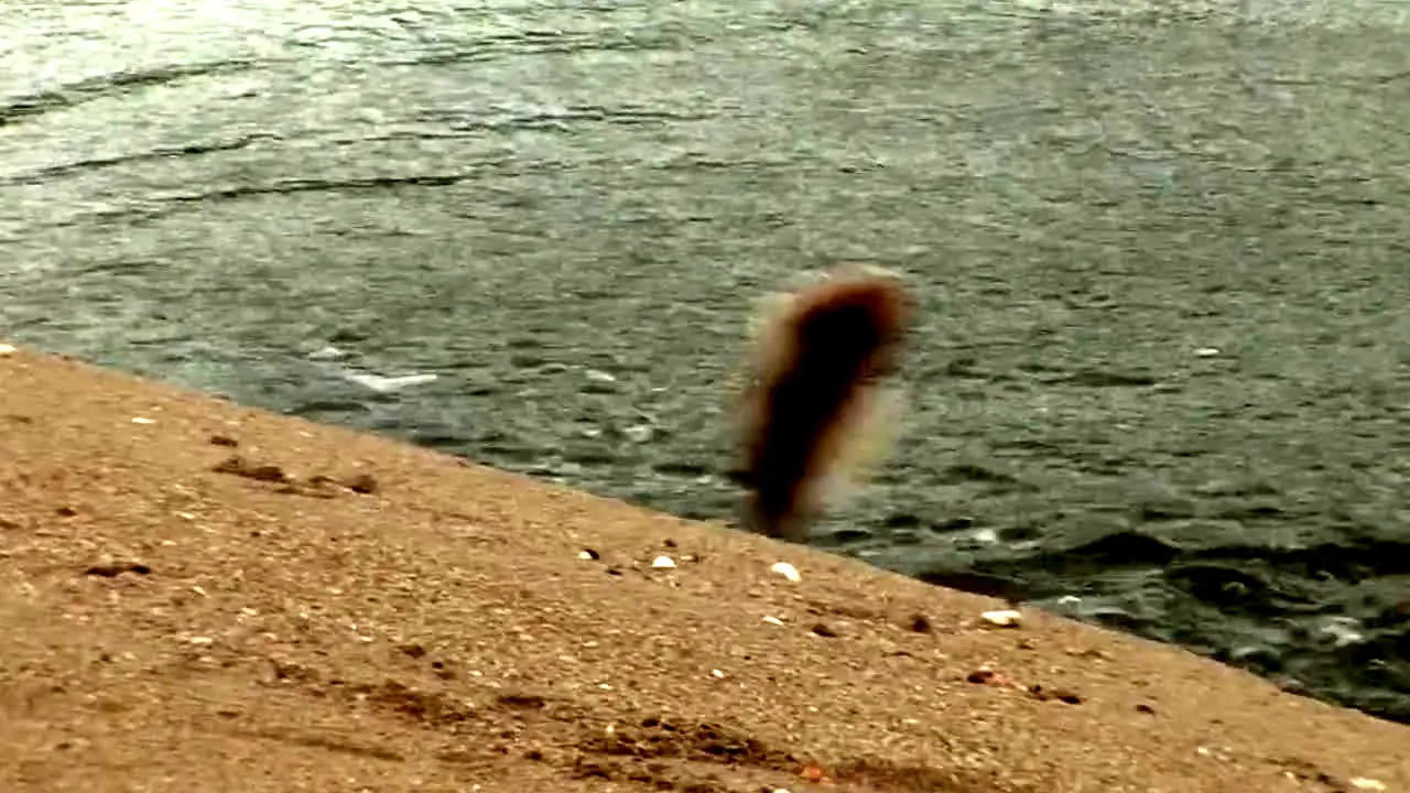 Gone Fishing live