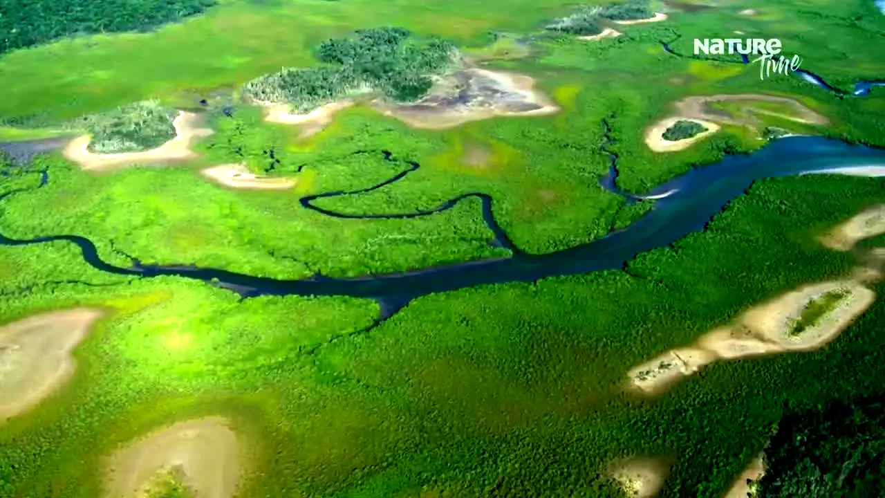 Nature Time en vivo