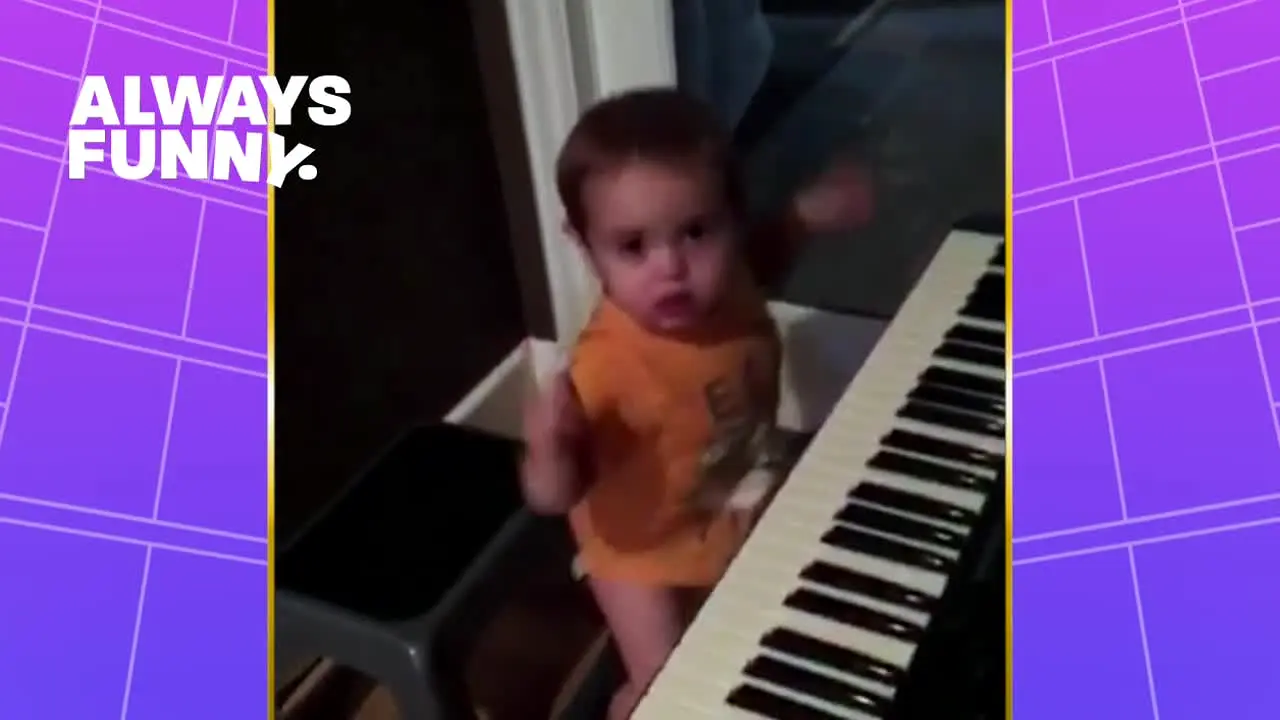 Always Funny Videos live
