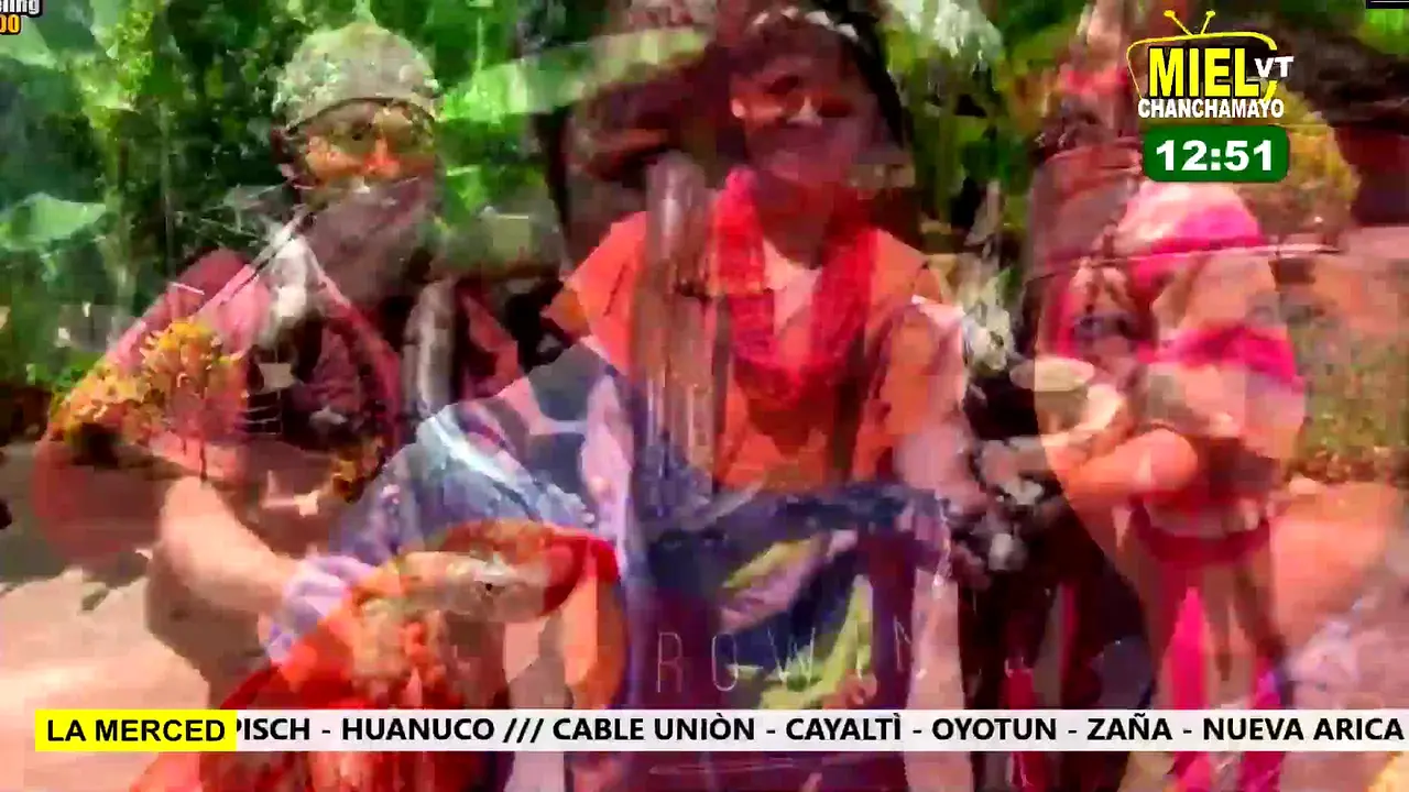 Miel TV live