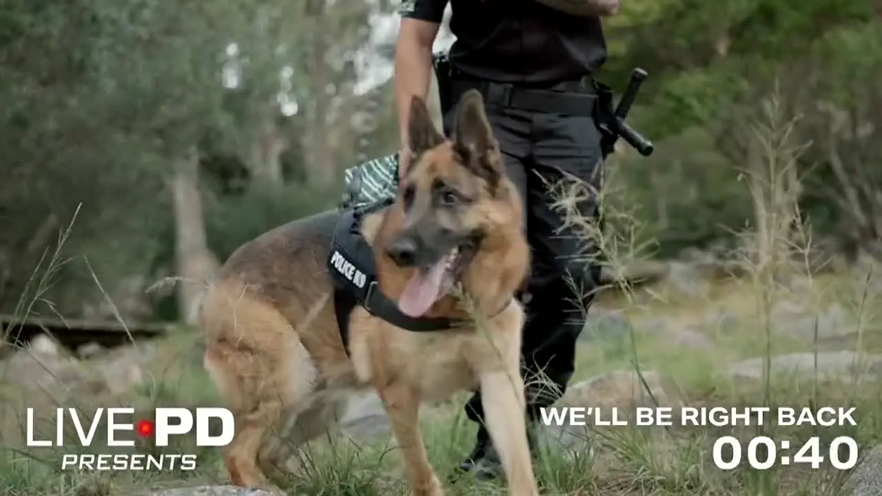 Live PD Presents in diretta