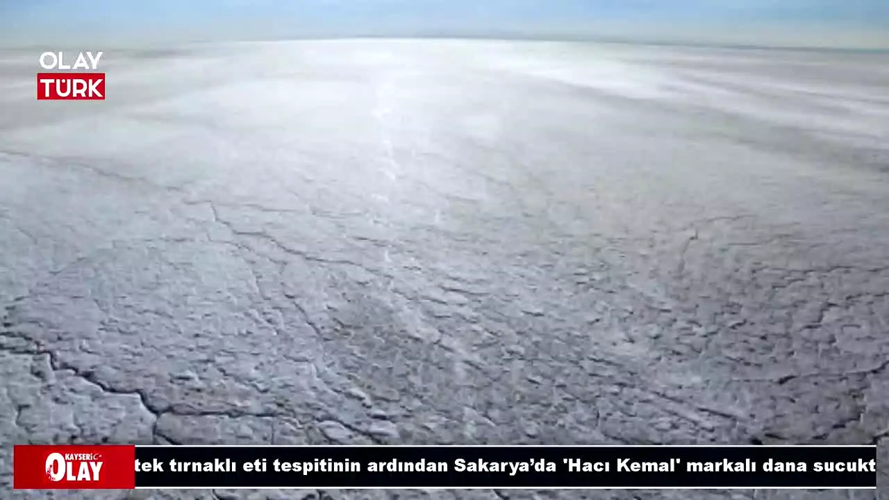 OlayTurk TV live