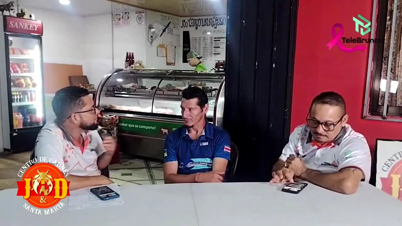 TeleBrunca live