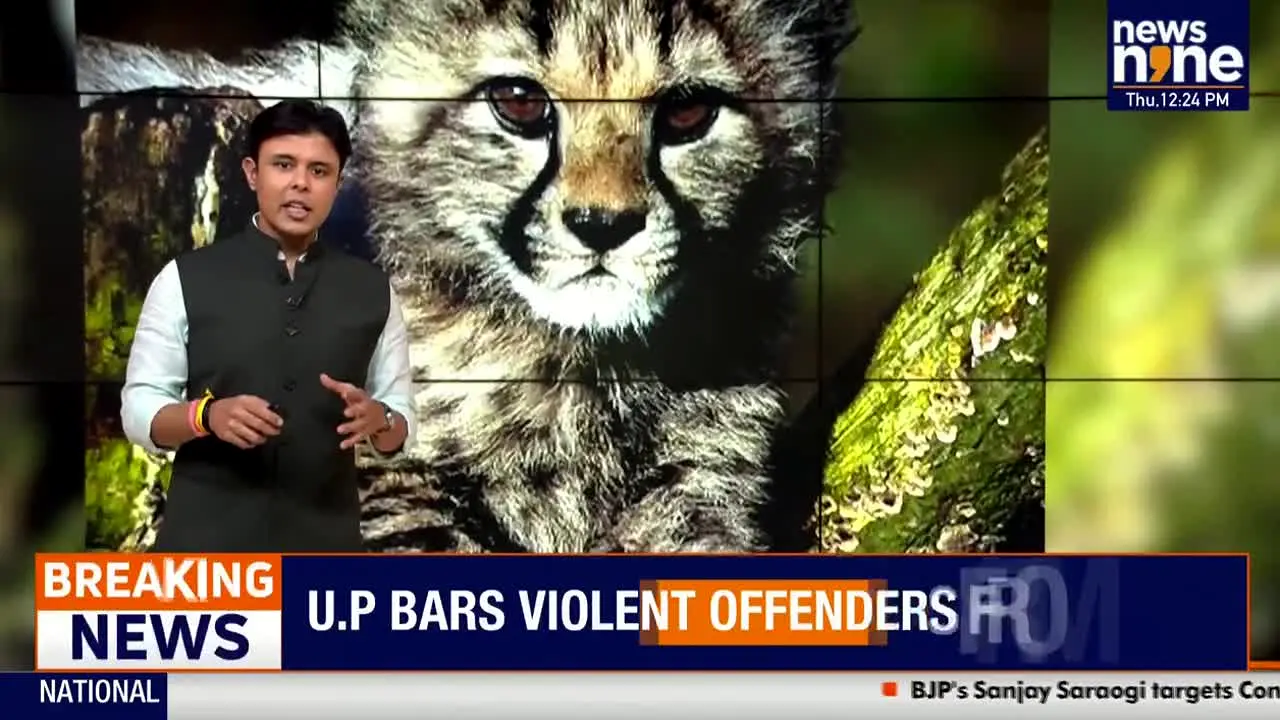 News9Live live