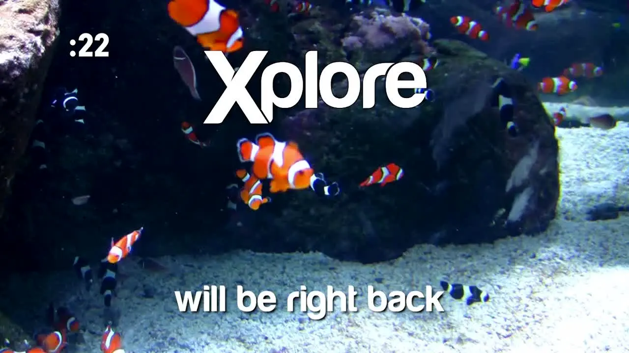 Xplore live
