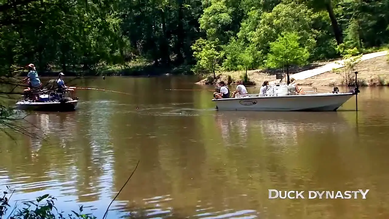 Duck Dynasty en direct