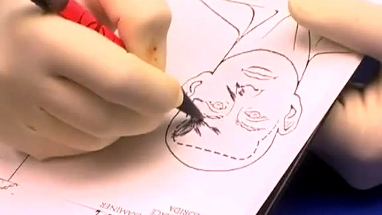 Dr. G: Medical Examiner live