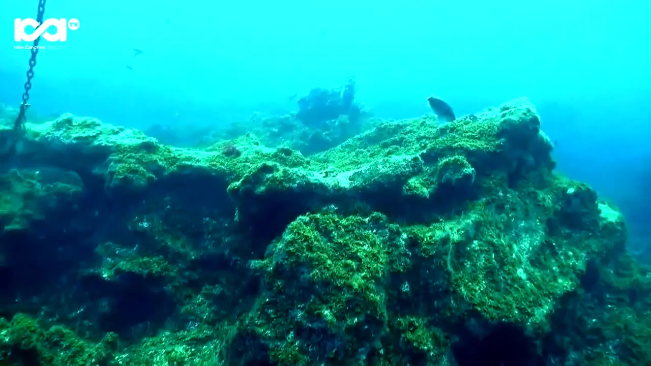 Islas Canarias TV na żywo