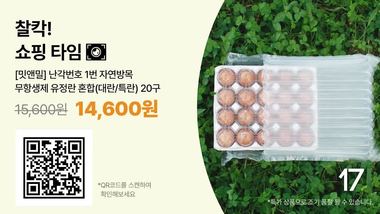 JTBC 내 친구의 집은 어디인가 live